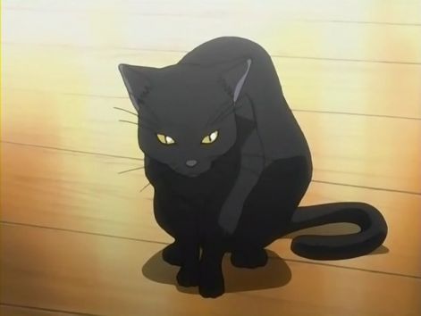 bleach_yoruichi0048.jpg